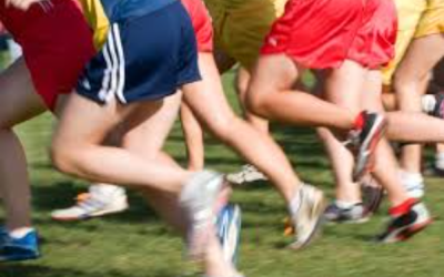 County Cross Country Championship
