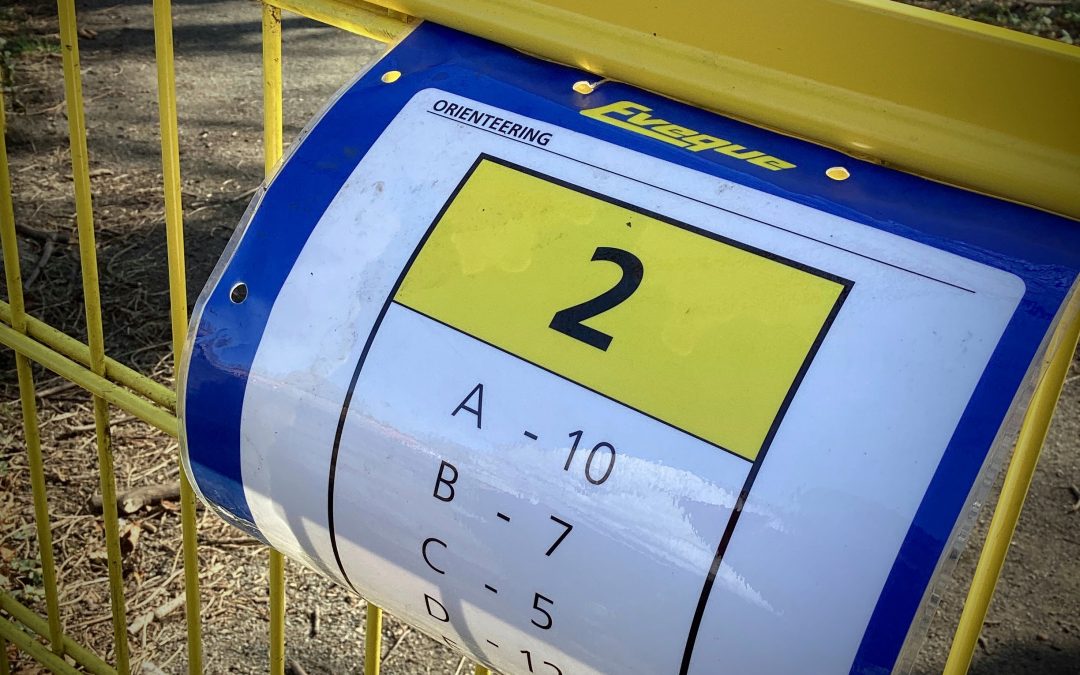 Orienteering with Year 5 and 6