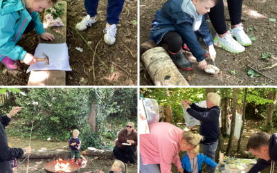 Forest School with Reception