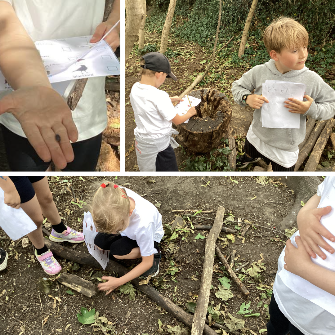 Moonlight Forest School