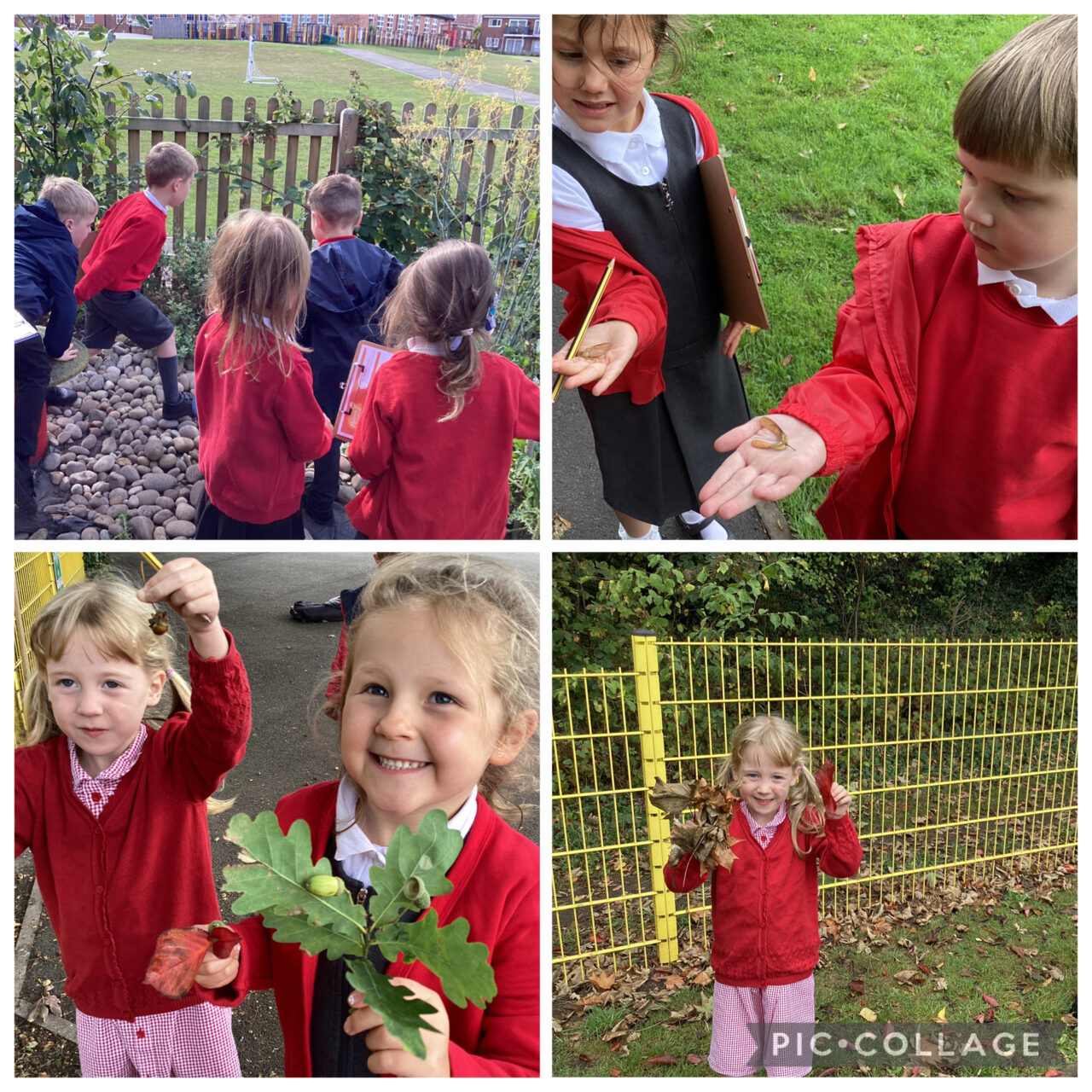 Autumn Walk | Red Rose Primary School