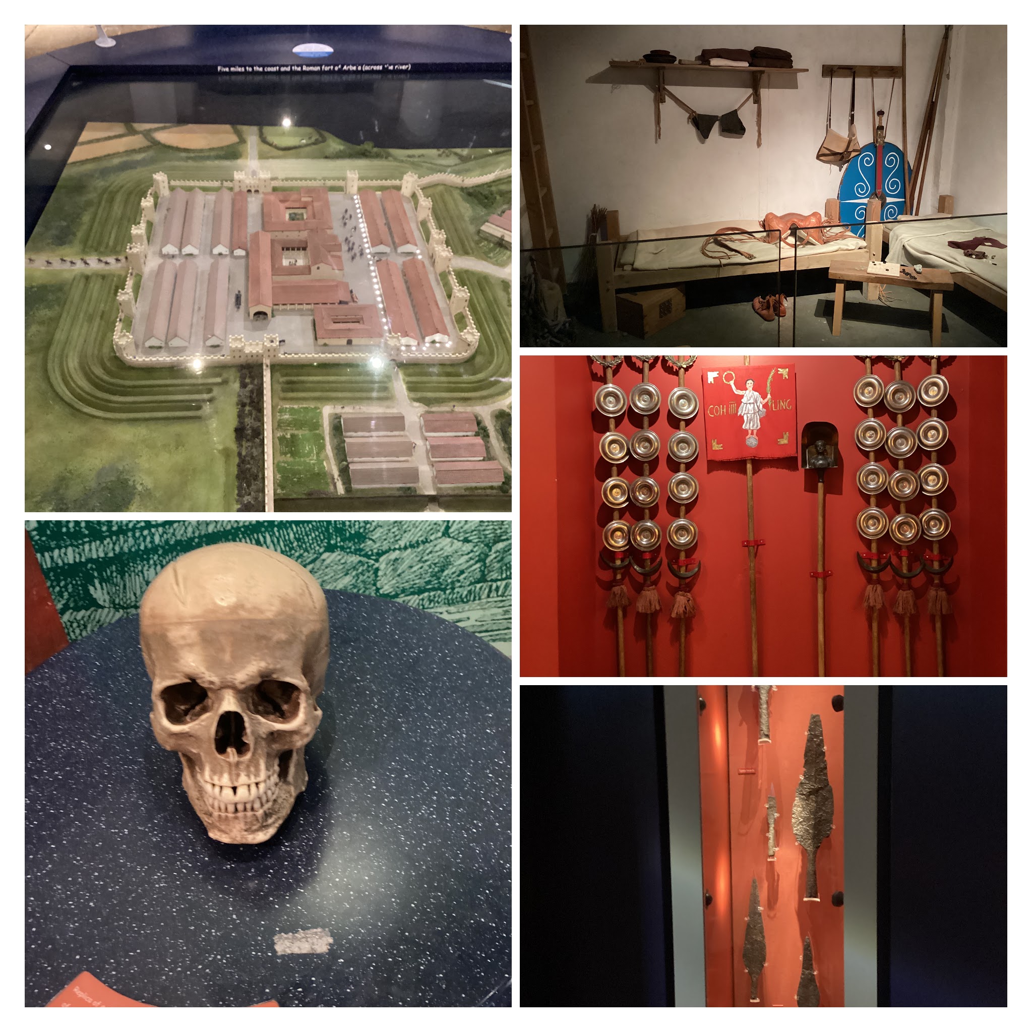 Red Rose Primary School (Chester-le-Street) visit to Segedunum