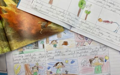 Minpins Storyboarding