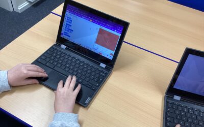 Modelling blood cells using Scratch coding