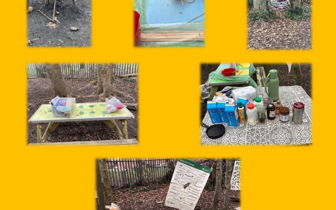 Apollo Forest School Session