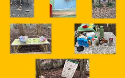 Apollo Forest School Session