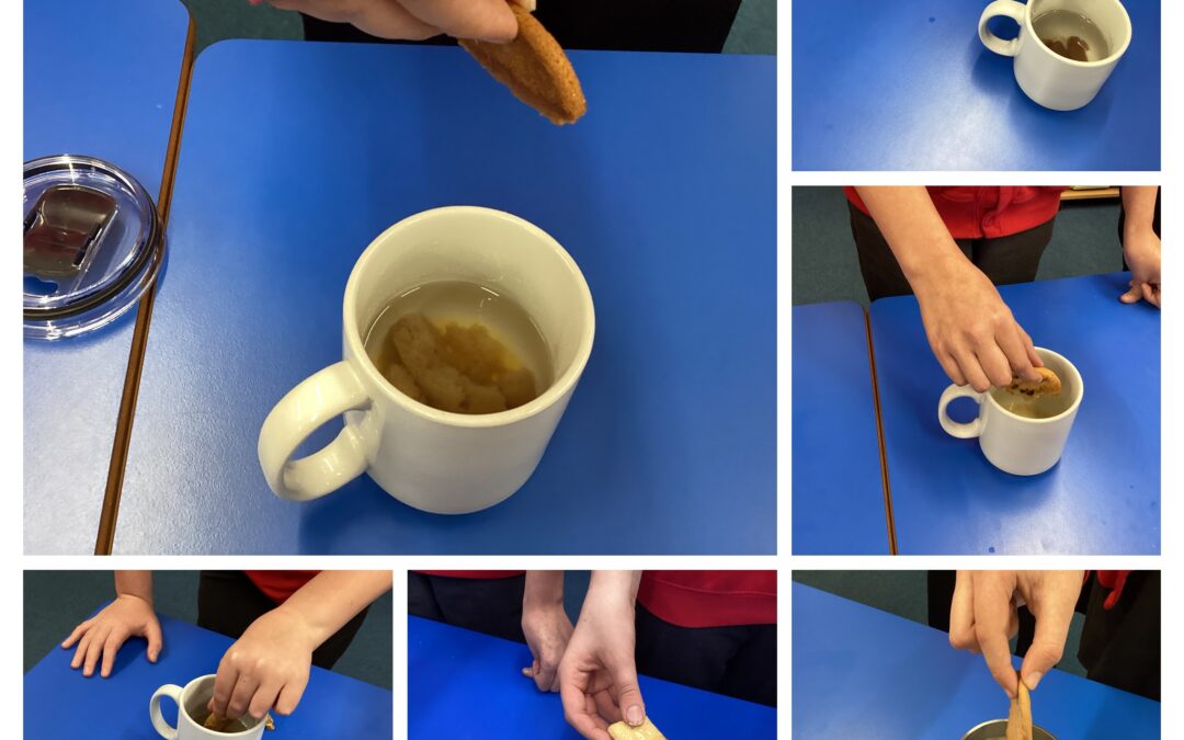 National Science Week – Biscuit Dunking