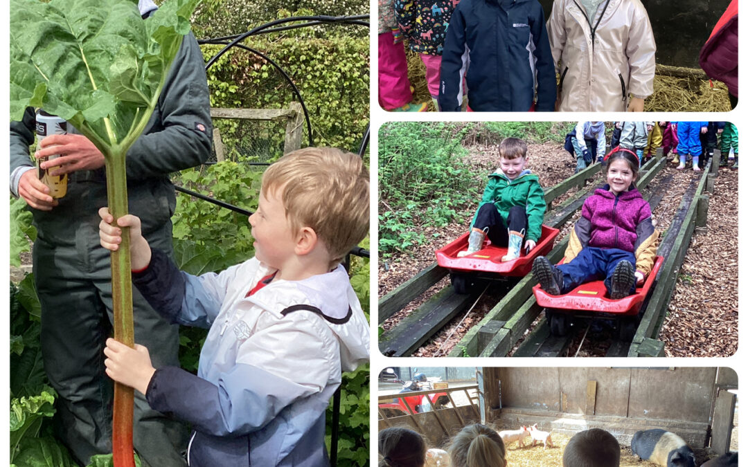 Broom House Farm Visit