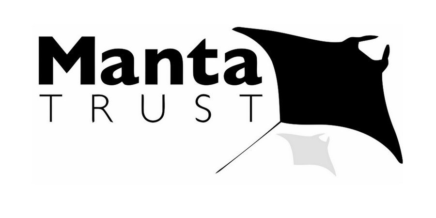 Looking at Manta Rays in Chester-le-Street School with Nursery